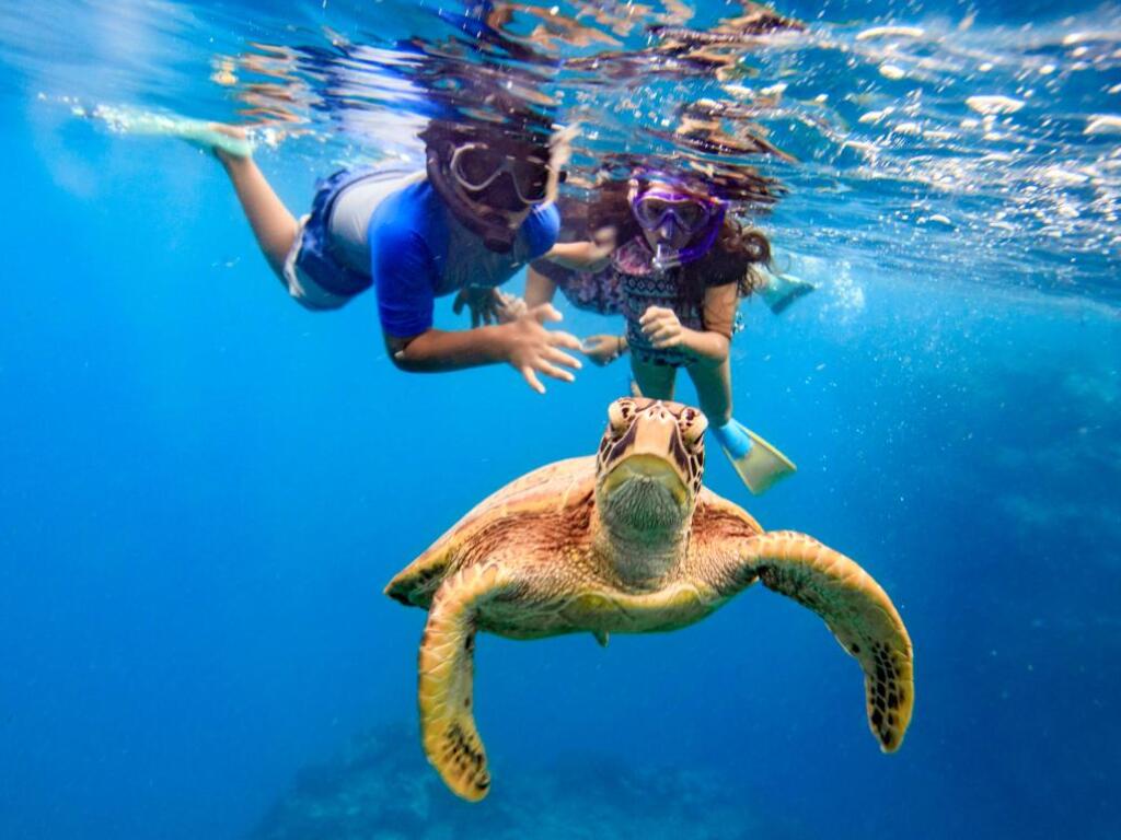 cook islands tour packages